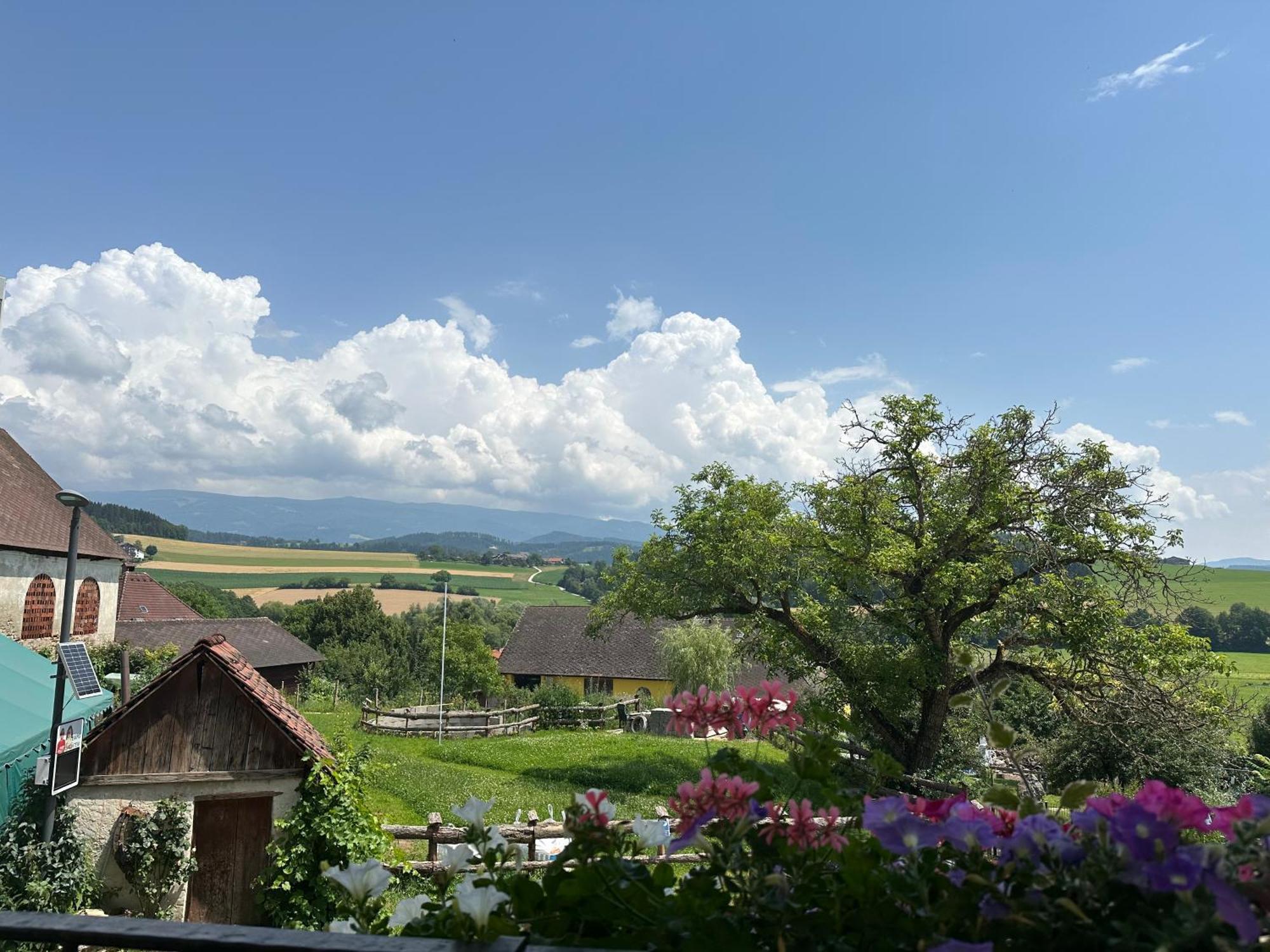 Gasthof Winkelwirt Althofen  Exterior foto